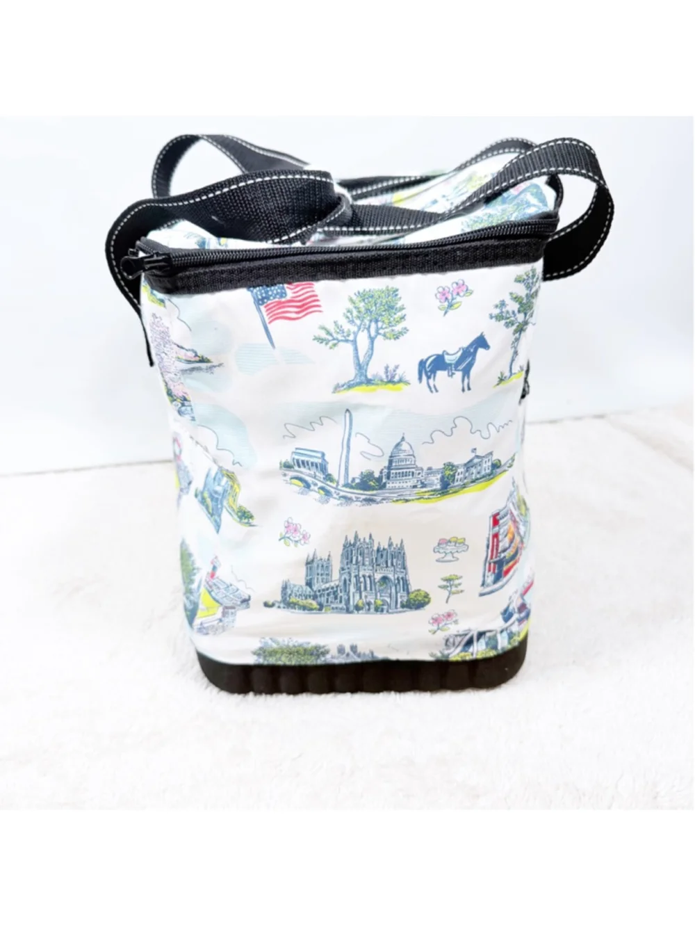 SCOUT The Stiff One Large Soft Cooler Washington DC Pattern Insulated Picnic Bag